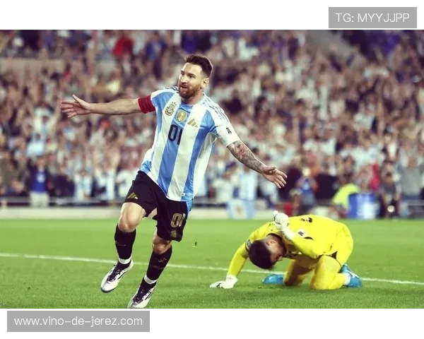 去年法国足球明星的辉煌成就与未来发展展望